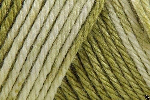 Caron Simply Soft Ombre Acrylic Aran Knitting Wool Yarn 113.4g -8243 Avocado