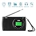 Yorek AM/FM/SW Radio, Portable Digital Radio with Sleep Timer and Alarm Clock Function, Battery Operated Stereo Radio, Earphone Included