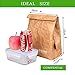Tyvek Lunch Bag pack of 2, Eco Waterproof Reusable Lunch Box,Tyvek Leakproof Insulated Brown Paper Snack bags for work/school/picnic（6L）