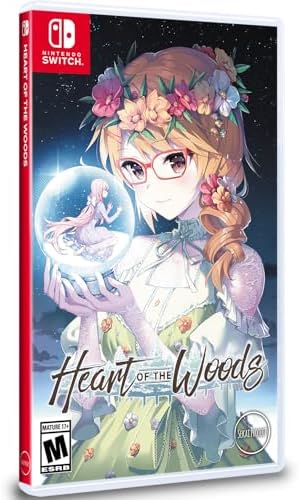 Amazon.com: Sword of the Vagrant - Nintendo Switch : Everything Else