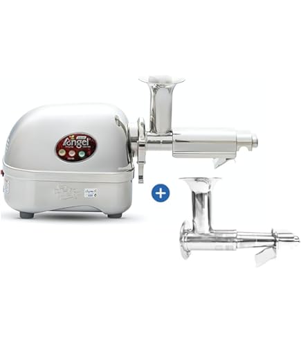 Amazon.com: Angel Juicer AG-8500SFH Stainless Steel Electric Juice