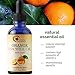 Sweet Orange Essential Oil for Diffuser Aromatherapy – Natural Spa Skin Care and Hair Care for Men and Women – Therapeutic Grade Cold Pressed Pure Orange Oil Extract – Citrus Mood and Immune Booster