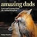 Amazing Dads: Love and Lessons From the Animal Kingdom by Bridget E. Hamilton