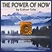 The Power of Now 2011 Wall Calendar by