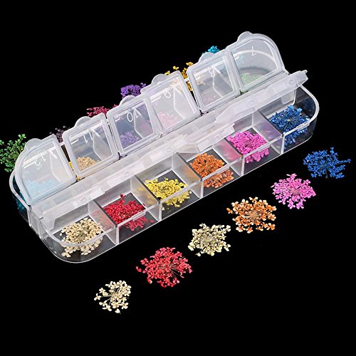EYX Formula Set of 24 Different Colors Five Flower Variety Flower DIY Nail Art 3D Nail Stickers Nail Supplies Dried Flowers Nail Decoration Tool for Manicure