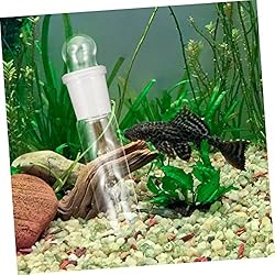 UKCOCO Leech Flatworm Aquatic Planarian Tube Shrimp