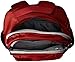Pacsafe Metrosafe LS350 Anti-Theft 15L Backpack, Vintage Red