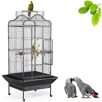 Amazon.com : Best Choice Products New Large Play Top Bird Cage Parrot Finch Macaw Cockatoo ...