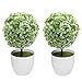 MyGift Tabletop Artificial Topiary Indoor Decor, Fake Plants Faux Green Boxwood Ball Tree with White Planter Pots, Set of 2