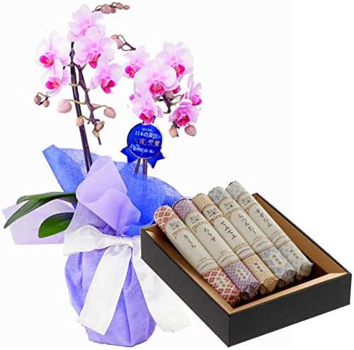 ミディ胡蝶蘭 お供え 花 線香セット 2本立 ピンク色 鳩居堂 線香組合せ 花の