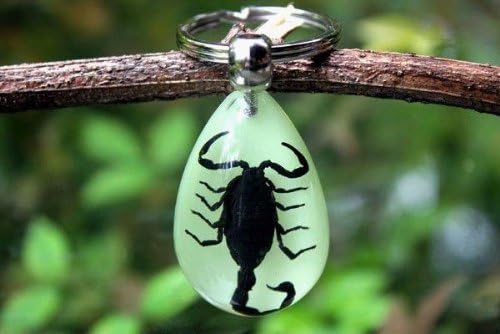 Real Insect Keychain Glows in the Dark (Black Scorpion)