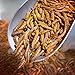 Worm Bites: 3-Pack Assorted Edible Mealworms (Edible Insect Products Made in Portland, Oregon) by Cricket Flours
