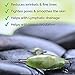 Jade Roller for Face and Gua Sha Stone Massage Tool Set by SRI - Natural Face Roller for Toning & Wrinkles - Authentic Face Massager that Reduces Puffiness to Promote Soft and Firm Skin