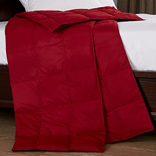 Puredown All Season Goose Down Sport Blanket, Downproof Peach Skin