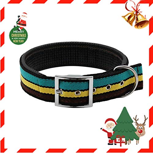 Collari per Cani Classico Cuoio Animale Collari per Gatti Animaletti Medi Grande Cani, Adatto per Attività All\'aperto