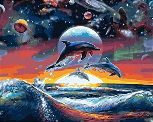 Toria Paint by Numbers Kits and Frame (40x50cm) (Dohphins Waves and Universe)