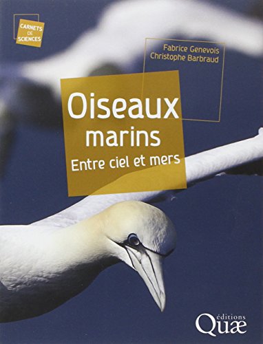 Oiseaux marins