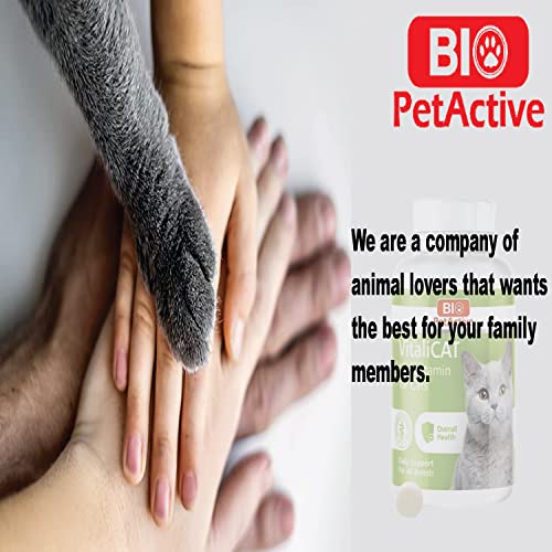VitaliCAT Multivitamin for Cats, Skin and Coat Supplement, Cat Prenatal
