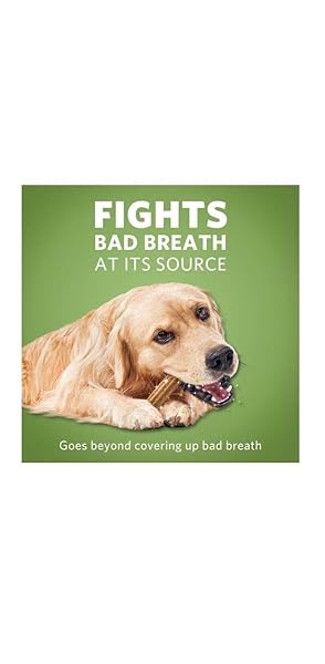 DENTALIFE ACTIVFRESH ORAL CARE SUPPLEMENTS FOR LARGE DOGS