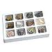 Educational Insights Metamorphic Rock Collection, Ages 8 and up, Set of 12 Handpicked Specimens in a Storage Tray