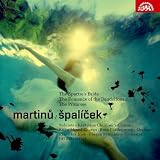 SPALICEK                                           image