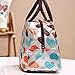 IEason Tote Lunch Bag, Portable insulated Picnic Lunch Bag Tote Zipper Organizer LunchBox
