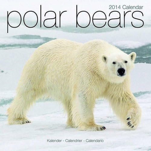 Polar Bears 2014 Calendar