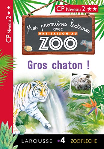 Gros chaton ! : CP Niveau 2 by