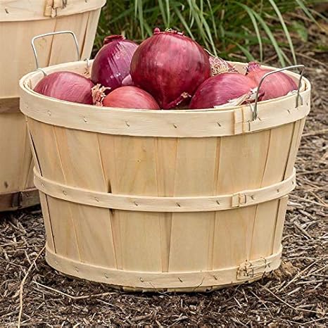 Old Time Poplar Half Bushel Baskets Pack Of 2 Amazon Ca Home Kitchen