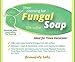 5 Bar Refill Pack - Fungal Soap - Tinea Versicolor, Athletes Foot, Jock Itch