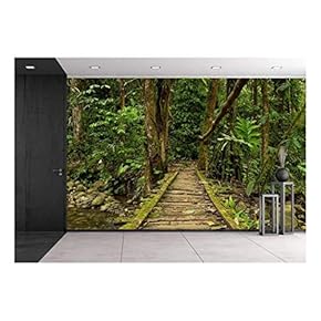 Low Angle View of a Wooden Bridge in...