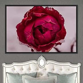 signwin Framed Canvas Wall Art Bright Flowers Closeup...