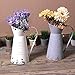 Watering Honey Elegant French Style Country Primitive Pitcher Flower Vase Watering Can Planters for Wedding Home Bar Decoration~Beige