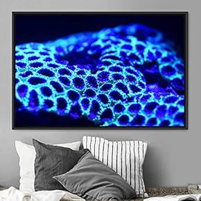 signwin Framed Canvas Wall Art Deep Under Group...