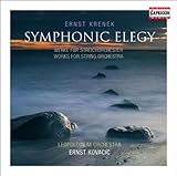 SYMPHONIC ELEGY:WORKS FOR STRING ORCHESTRA         image