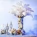 10pcs Natural Ostrich Feather Craft Plume for Wedding Centerpieces Home Decoration (14-16inch, White)
