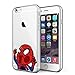 Litech Case