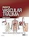 Rich’s Vascular Trauma E-Book