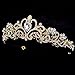 Sparkle Metal Jeweled Crystal Rhinestone Queen Crown Tiara Headband Bridal Pageant (Gold)
