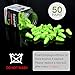 AMAZKER Ear Plugs Anti-Noise Soft Quiet Sleeping Earplugs