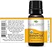 Plant Therapy Organic Immune Aid Essential Oil Blend 10 mL (1/3 oz) 100% Pure, Undiluted, Therapeutic Grade