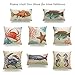 Hofdeco Decorative Throw Pillow Cover HEAVY WEIGHT Cotton Linen Vintage Caribbean Sea Life Starfish Crab Coral 18