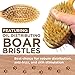 Paws Pamper Boar Bristle & Pin Brush for Dogs and Cats - Beechwood Handle (Cappuccino White)