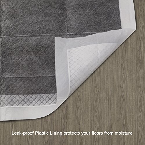 Petphabet Potty Pads -100 Count Box - 23" x 22" Large Puppy Pads Odor Control Quick-Drying Black Carbon Technology Remain Discreet by