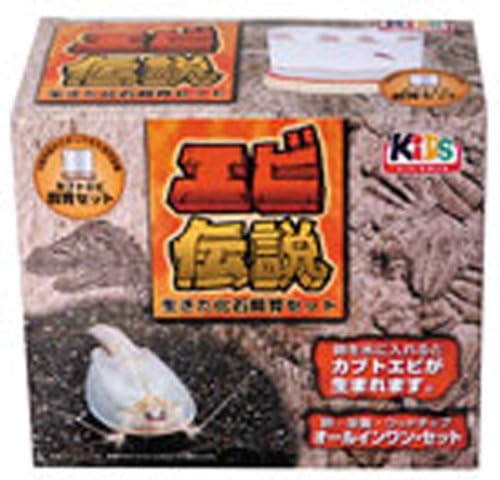 Amazon Co Jp 日動 生きた化石飼育セット エビ伝説 おもちゃ
