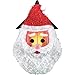 Collections Etc Outdoor Holiday Porch Light Covers - Set Of 2, Santa
