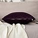 MIULEE Velvet Pillow Cover Soft Luxury Decorative Throw Pillow Cover Single Rectangle Cushion Case for Couch Sofa Bedroom Car Decor,12x20 Inch Eggplant Purple