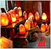 Windsor Seasons Hand Crafted Natural Large 9-Inch Crystal Himalayan Salt Lamp with Neem Wood Base, 6-Feet Cord, Dimmer Switch and Bulb