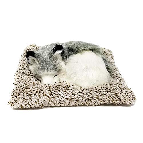 Perfect Petzzz Mini Baby Alaskan Husky Puppy Dog Buy Online in UAE. Toys And Games Products