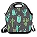 Cactus Travel Picnic Lunch Bag Lunchboxes Outdoor Lunch Box Bag Lunch Tote Lunch Pouch Handbag